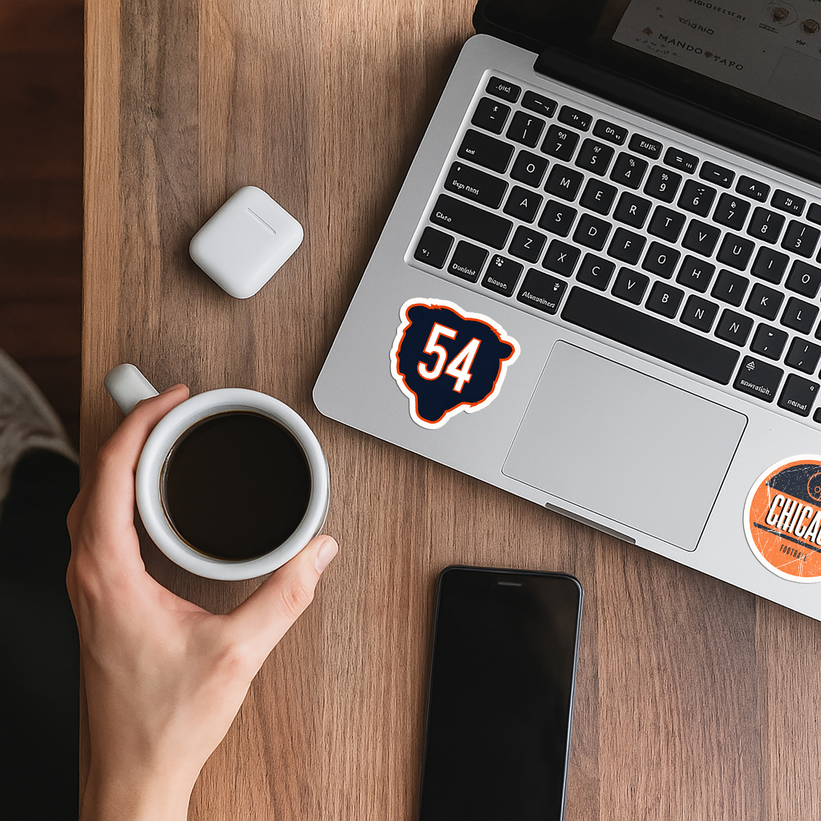 Chicago Bears