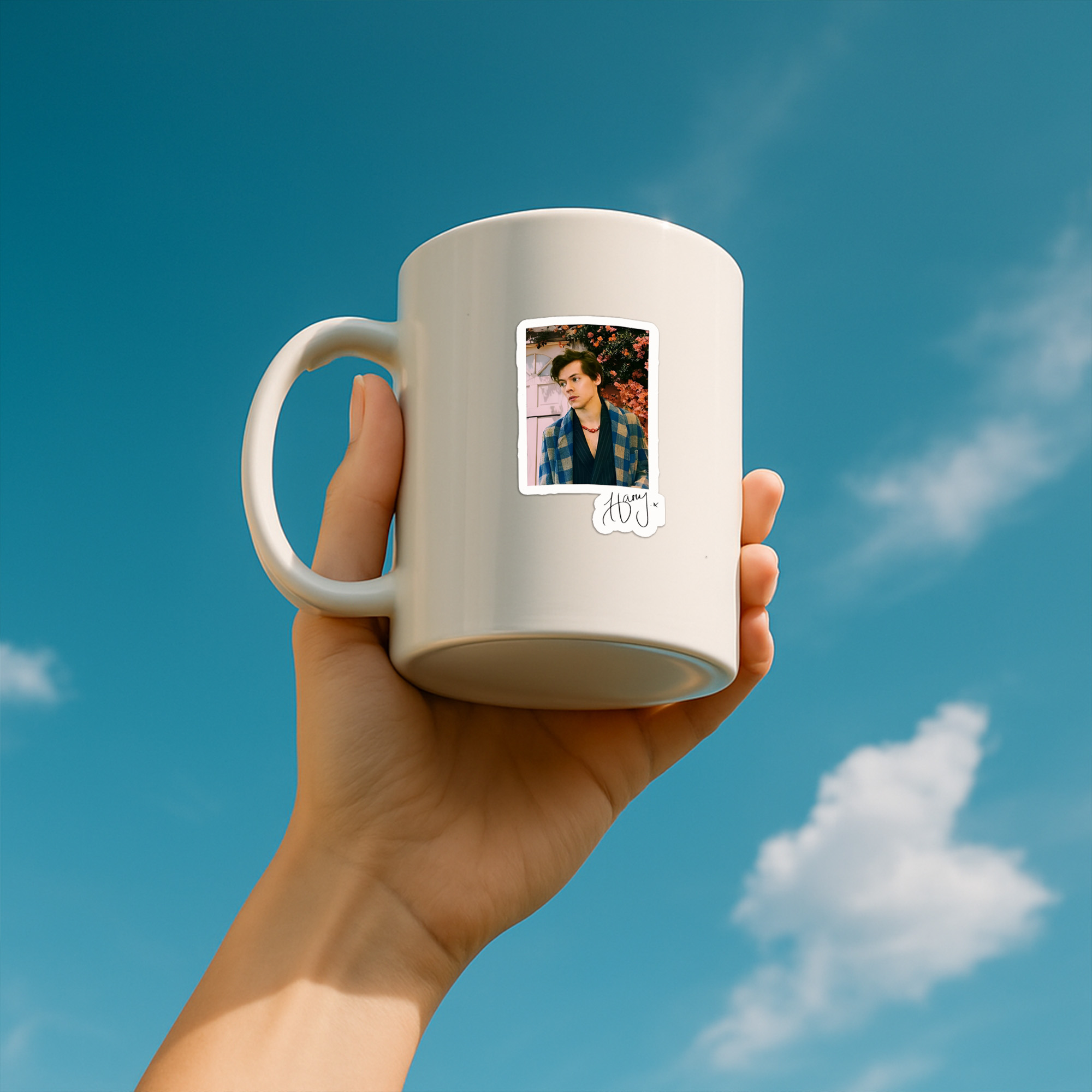 Harrys Styles