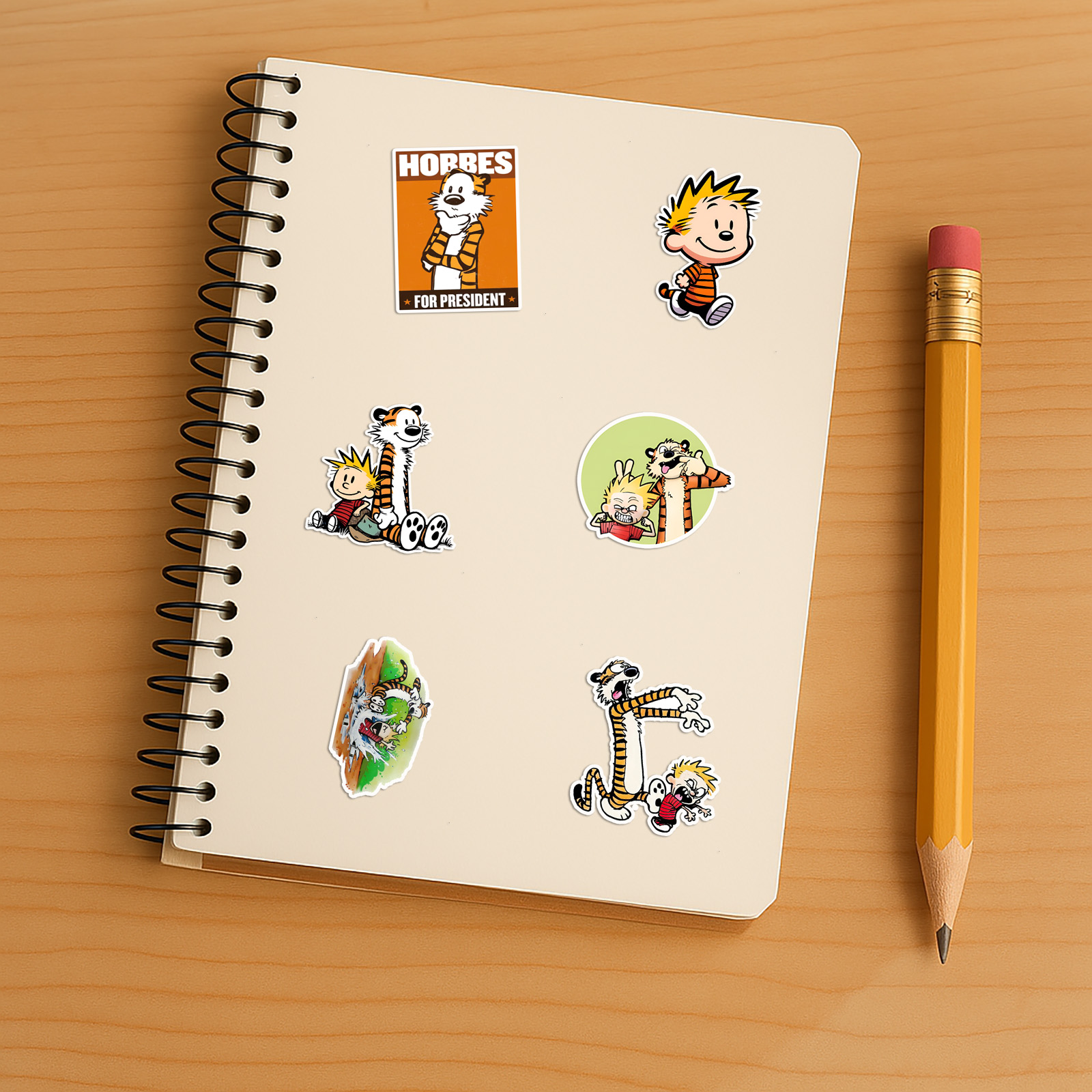 Calvin And Hobbes