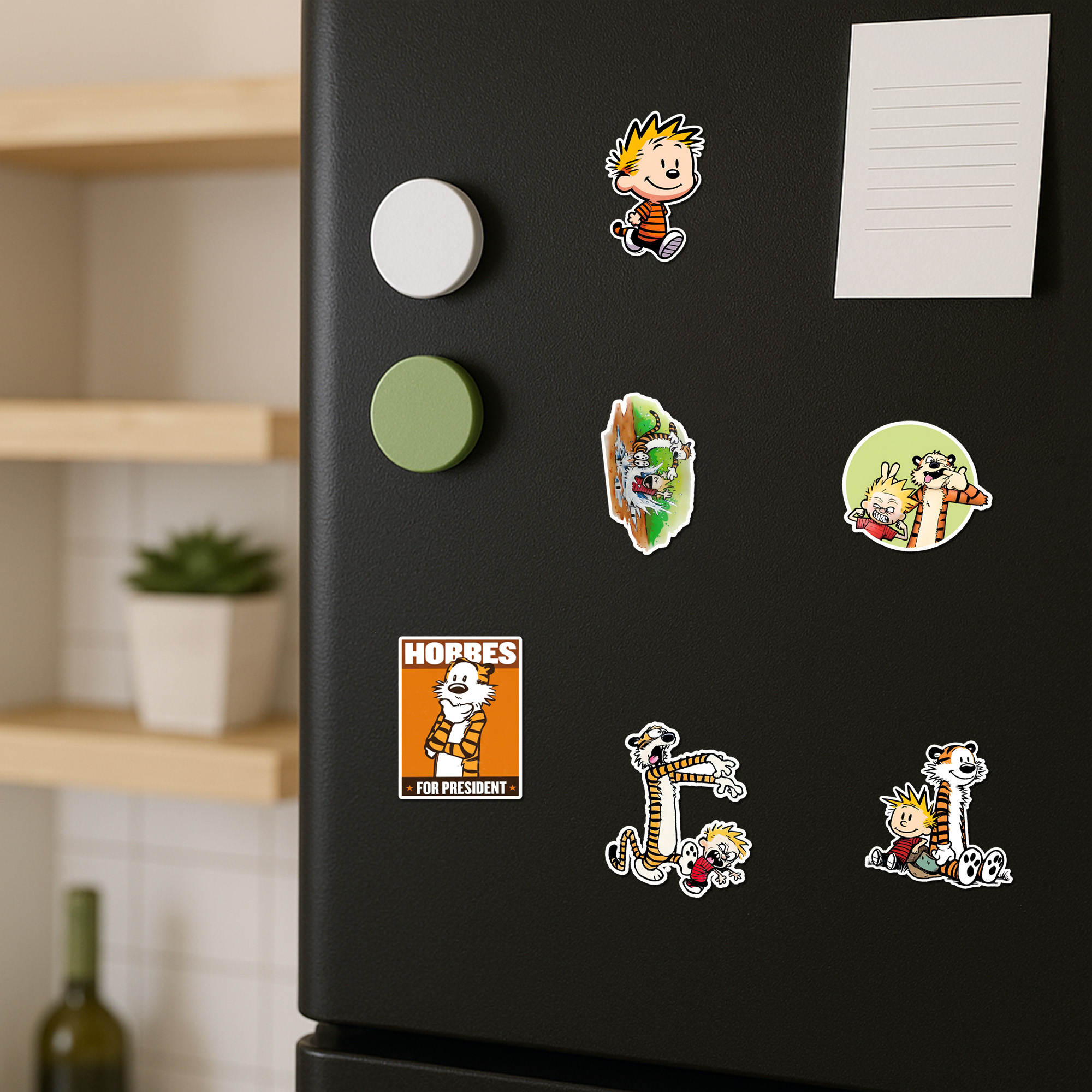 Calvin And Hobbes